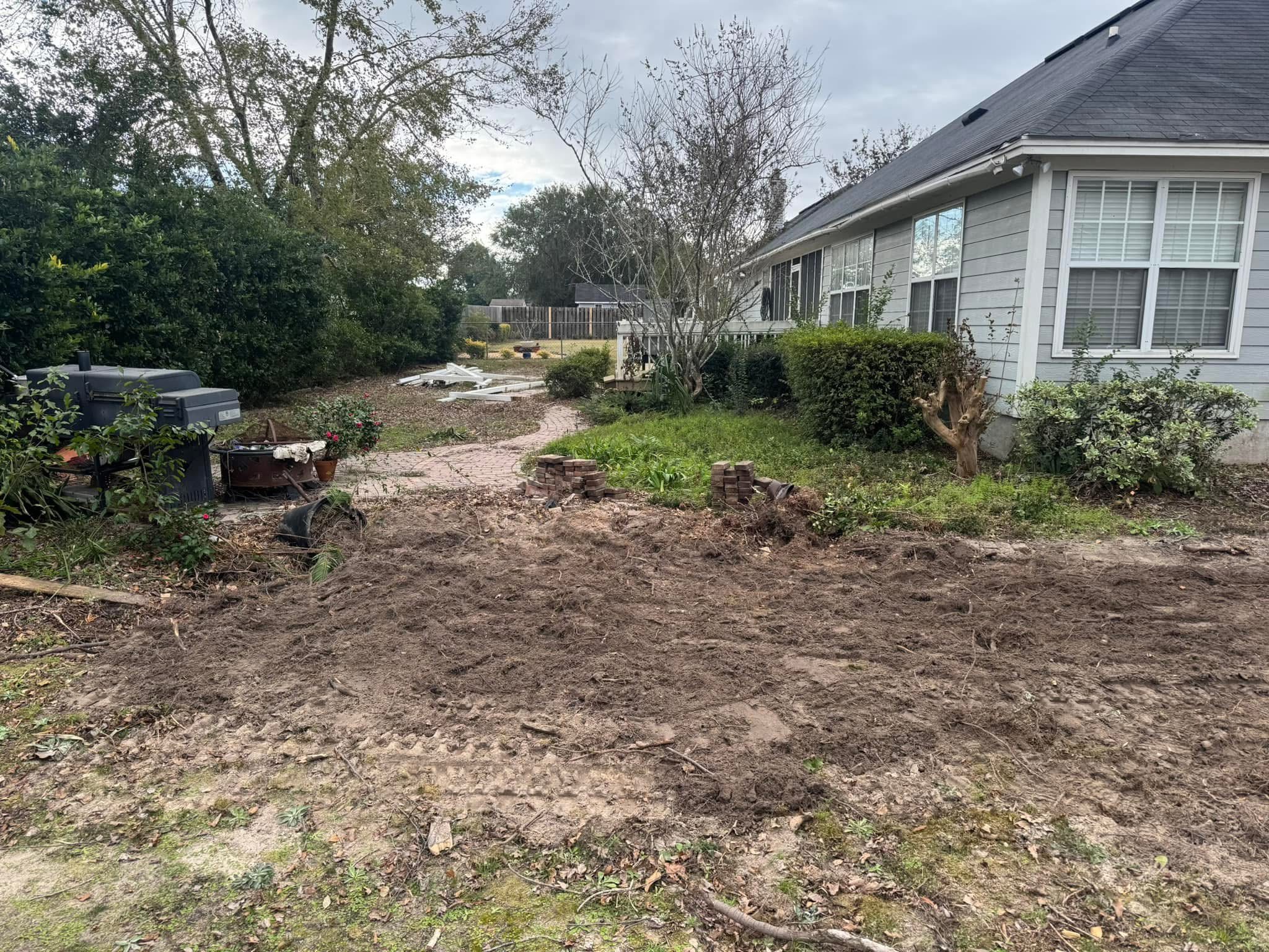 Stump Removal Service After