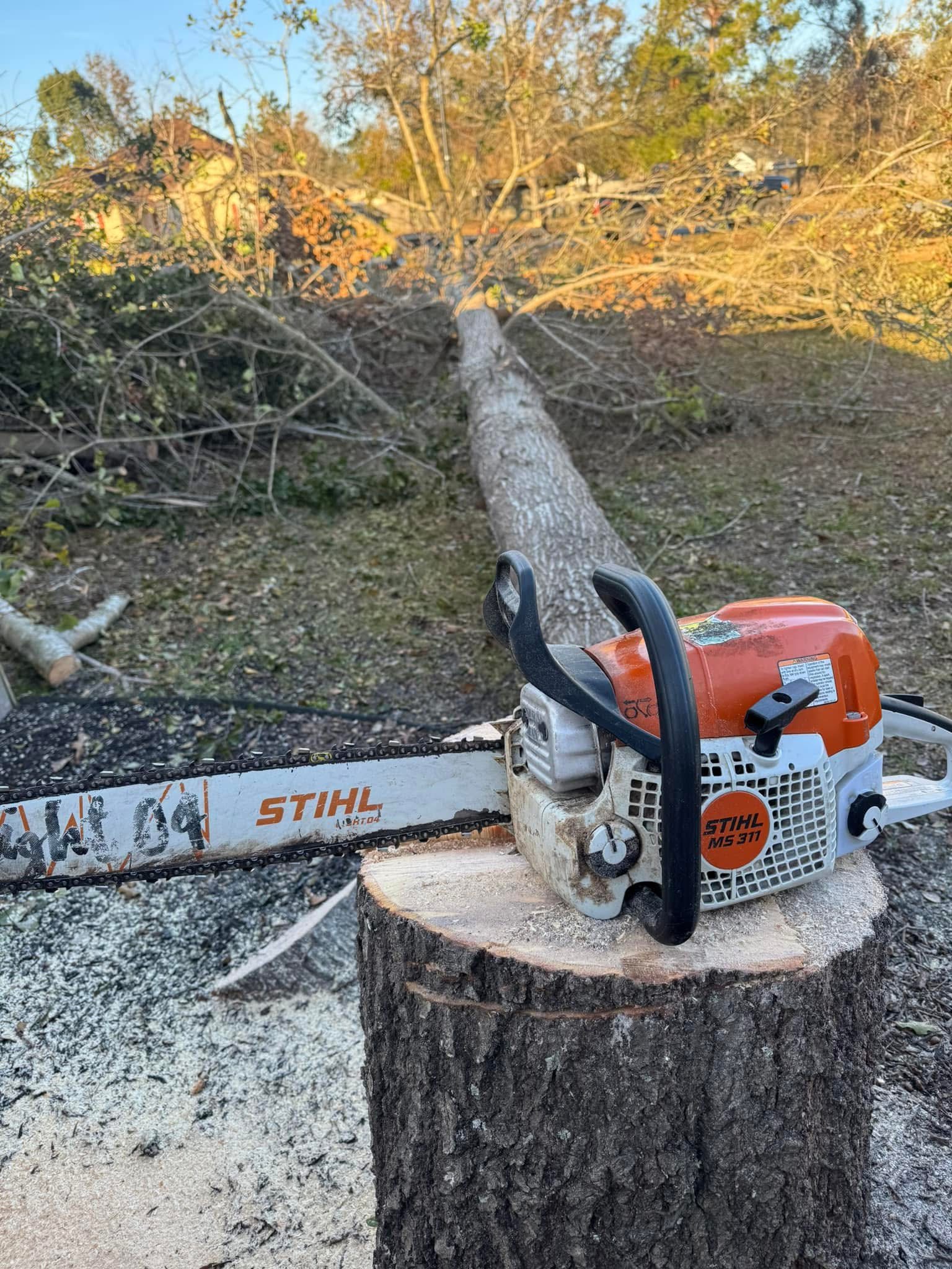 Tree Removal Service