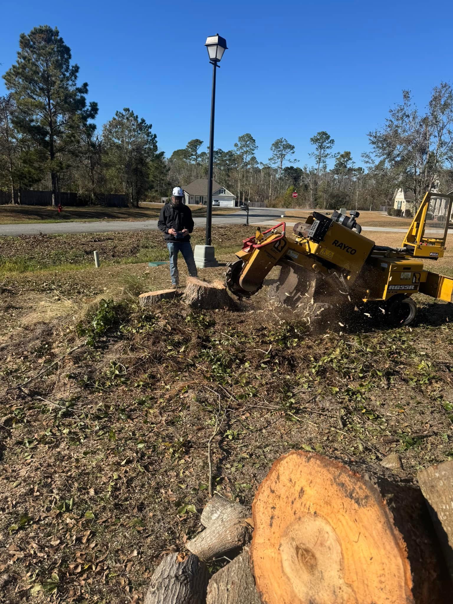 Stump Grinding Service